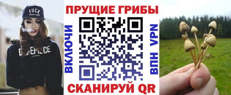 сколько стоит  Кремёнки  Галлюциногенные грибы мухоморы 